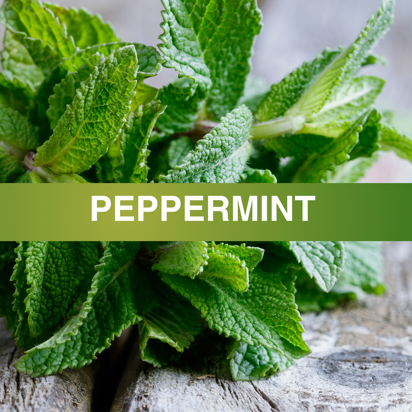 Peppermint Fragrance Oil