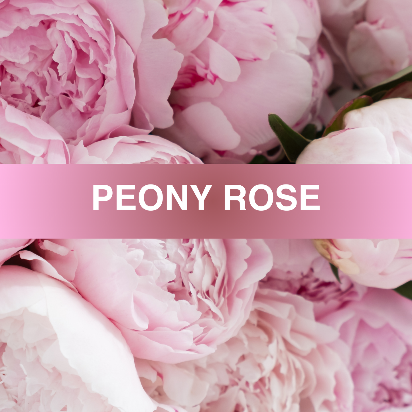 Peony Rose Fragrance Oil
