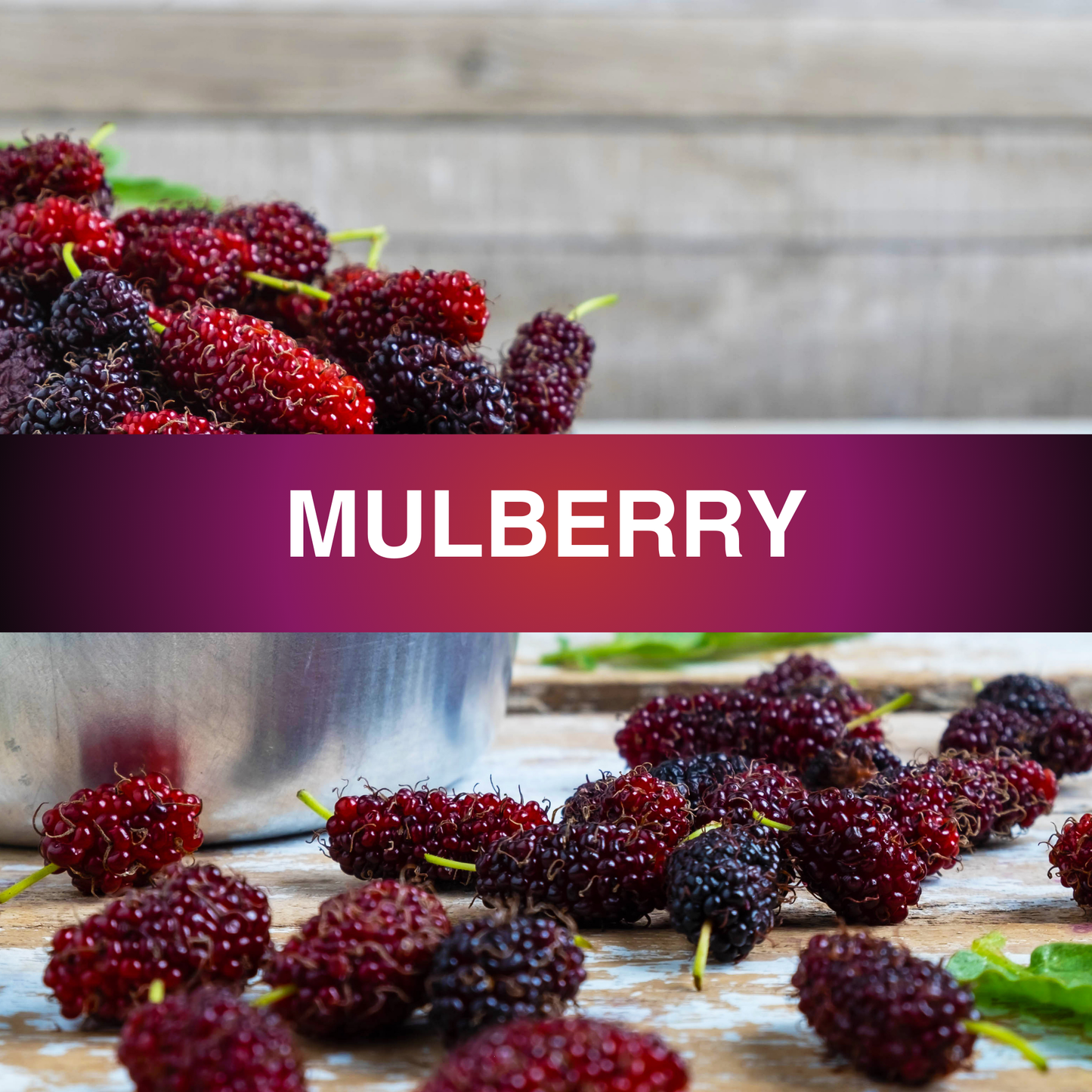 Mulberry Fragrance Oil