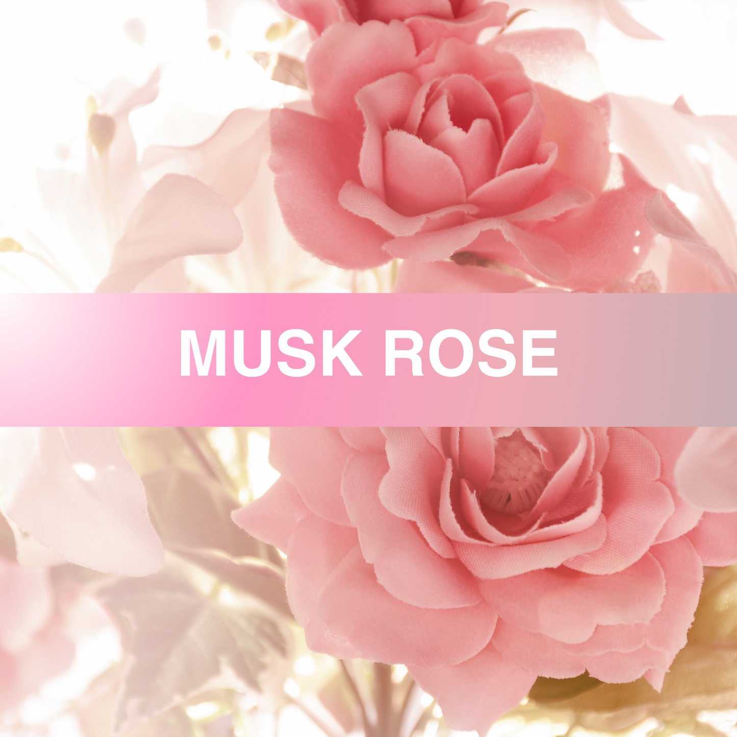 Musk Rose Fragrance Oil