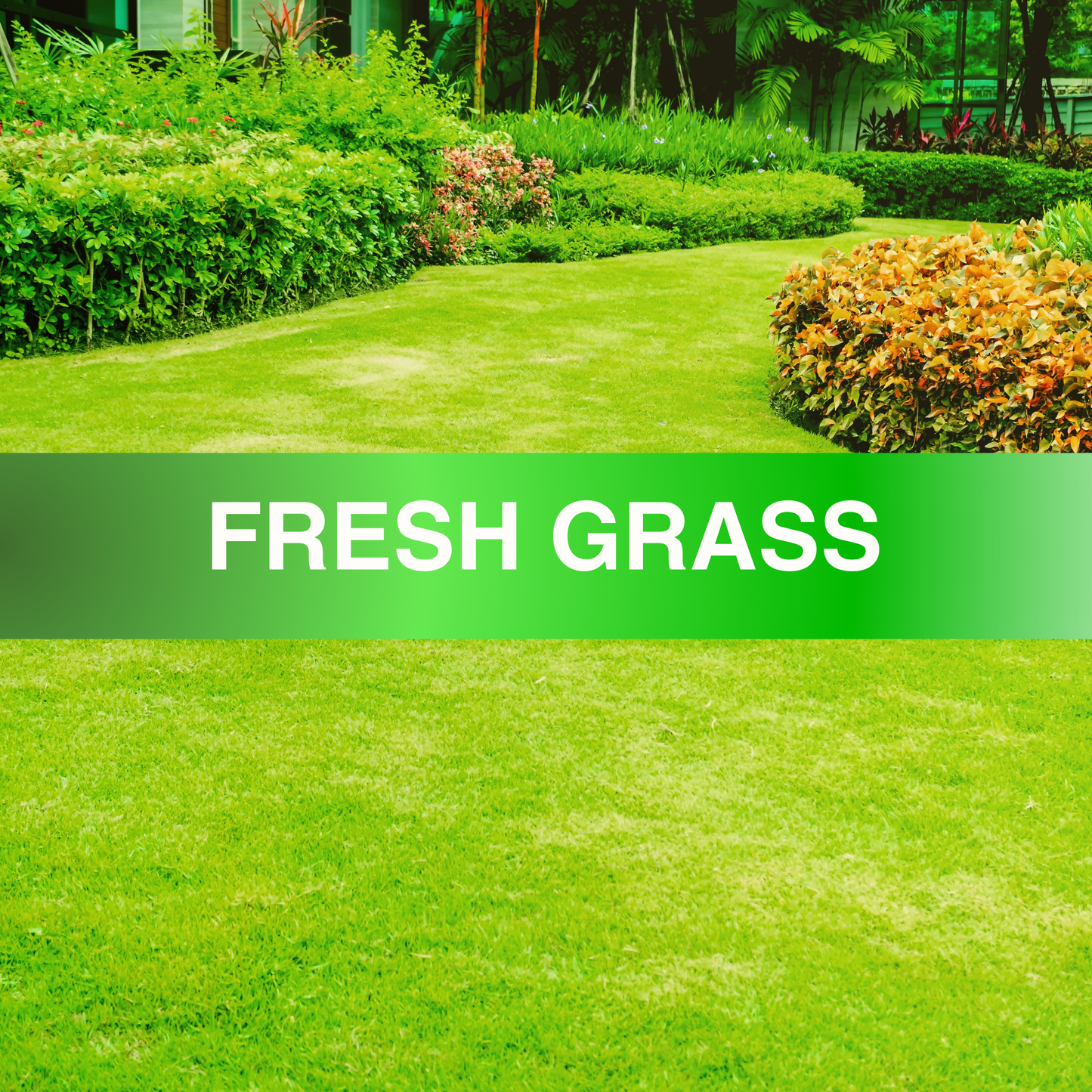 Fresh Grass Fragrance Oil