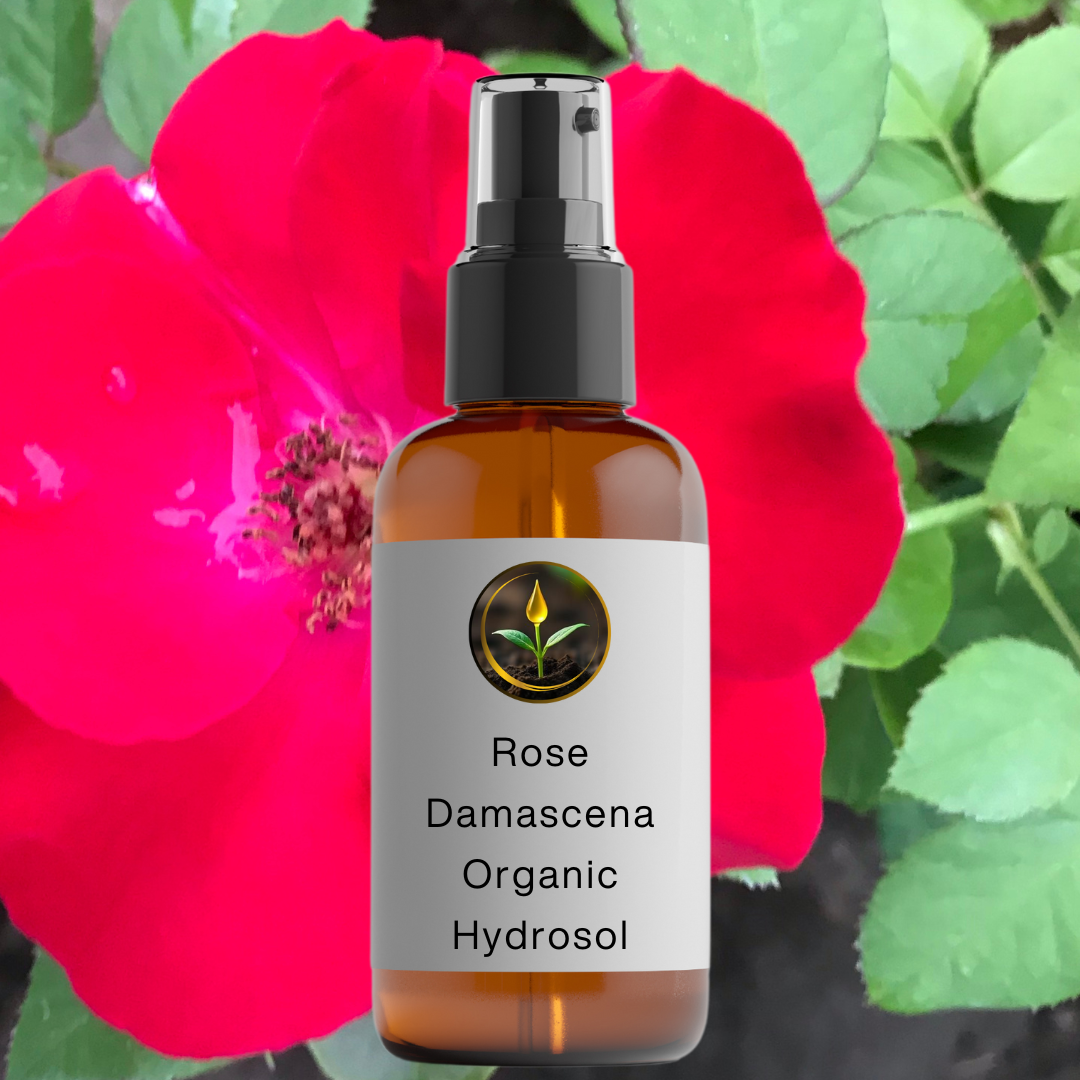 Rose Damascena Hydrosol - Organic