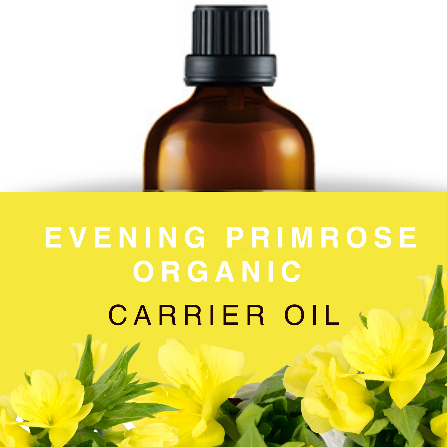 Evening Primrose Oil - Cold Pressed