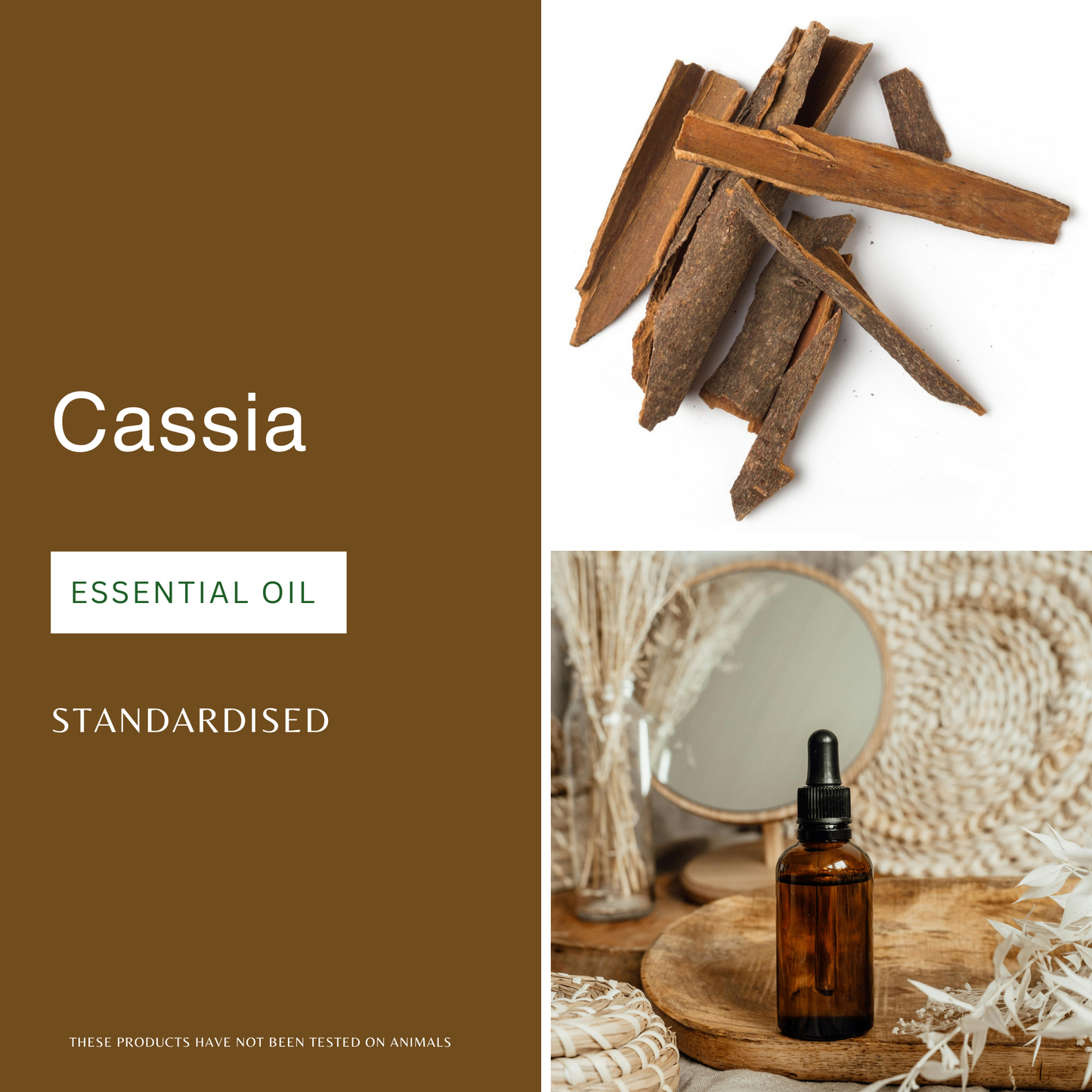 Cassia Essential Oil