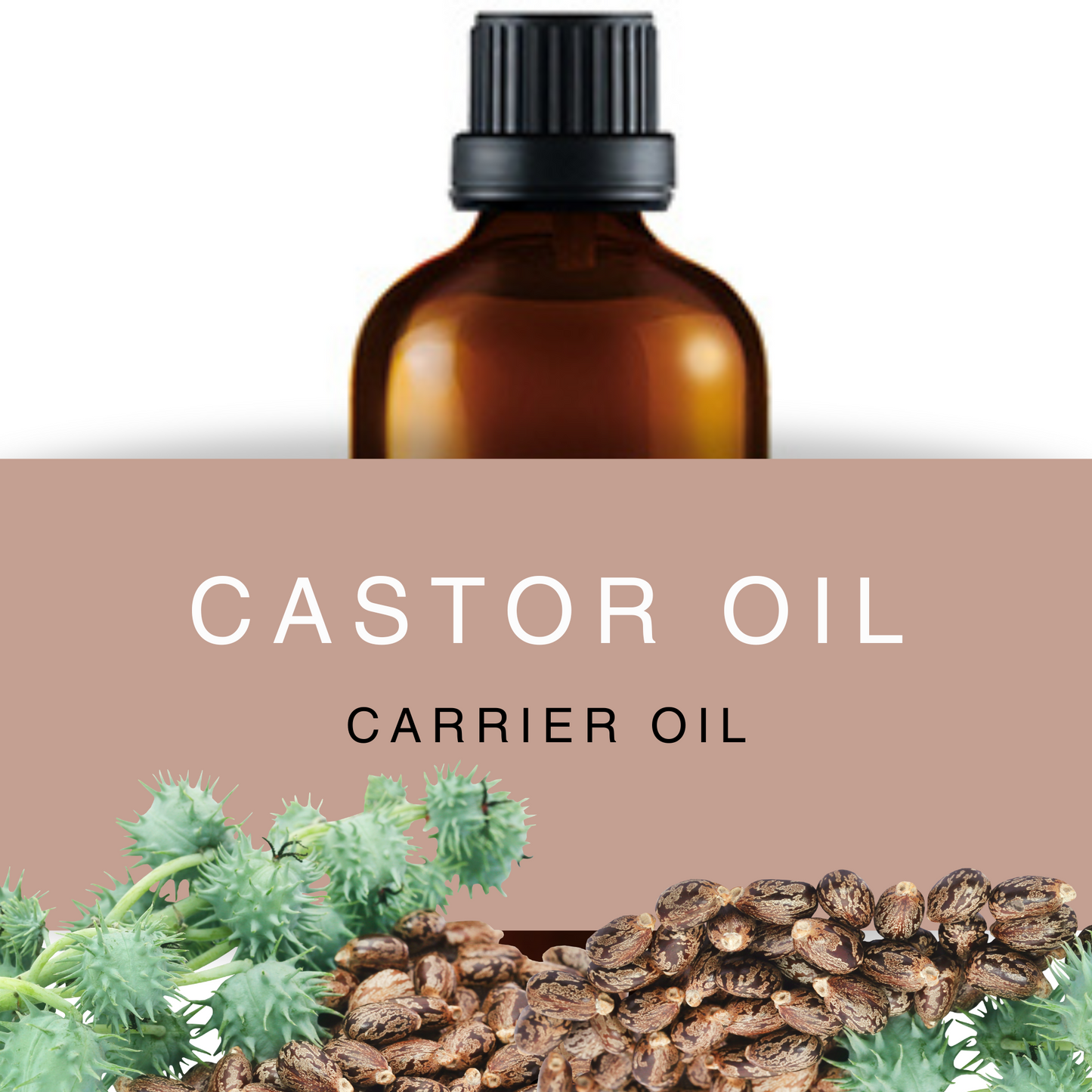 Castor Oil - EP Grade | Hexane-Free
