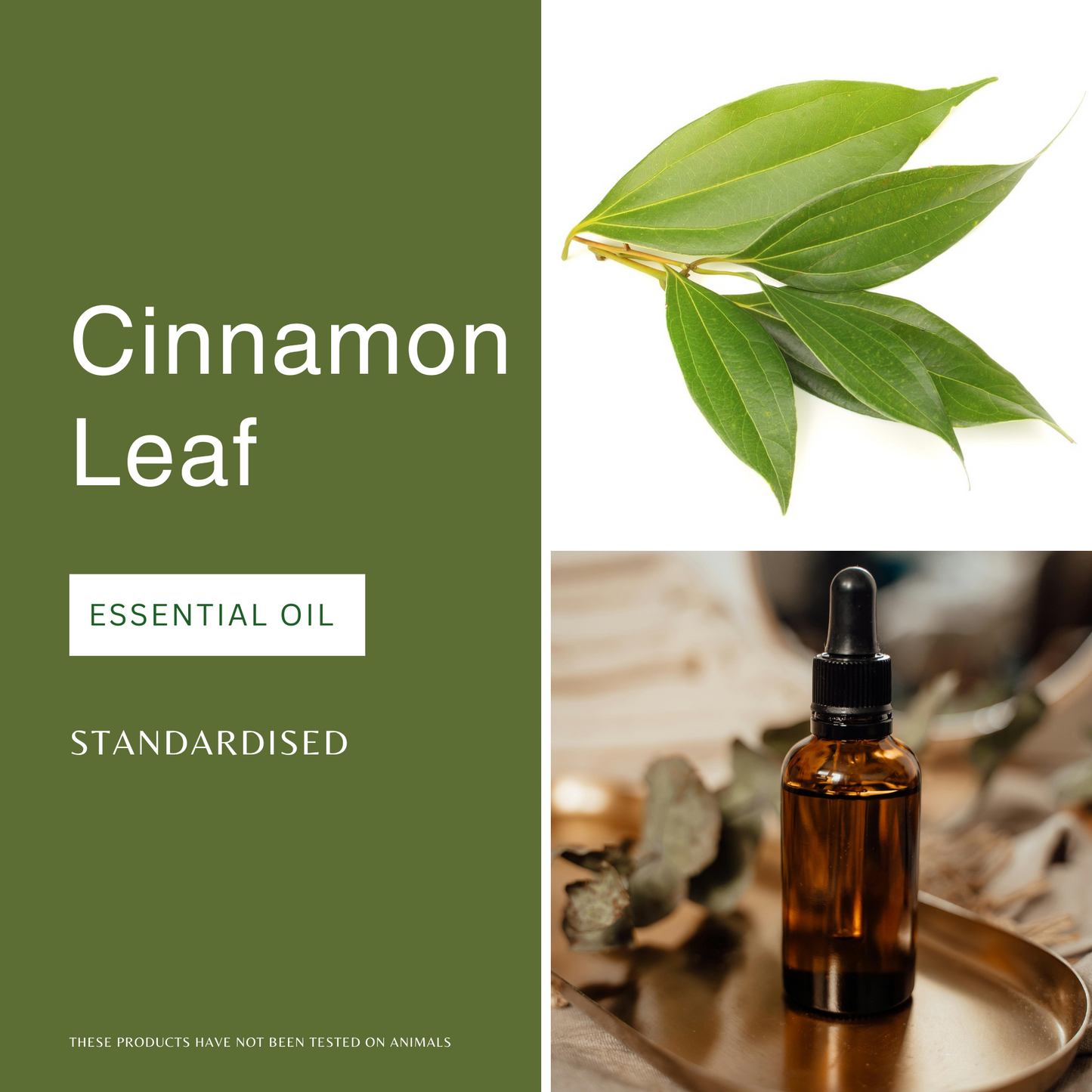 Cinnamon Leaf Essential Oil