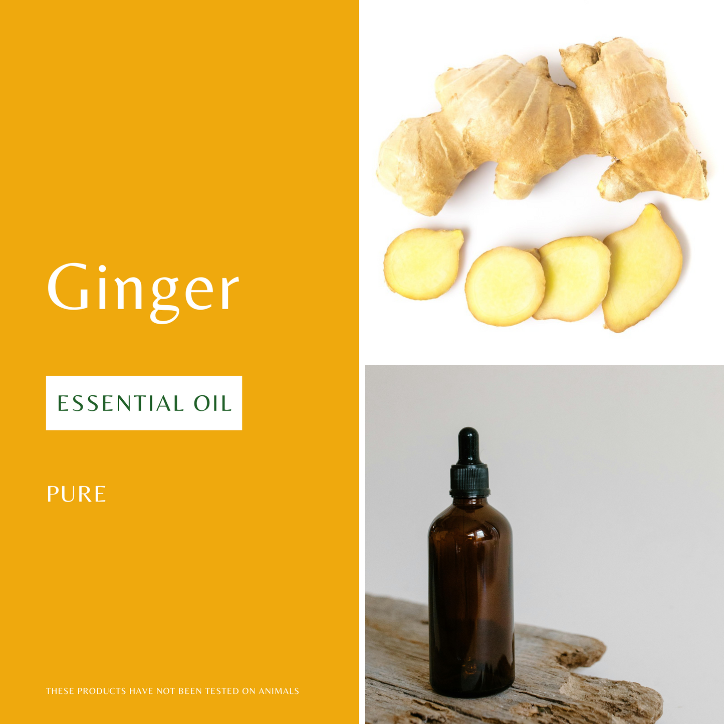 Ginger Essential Oil