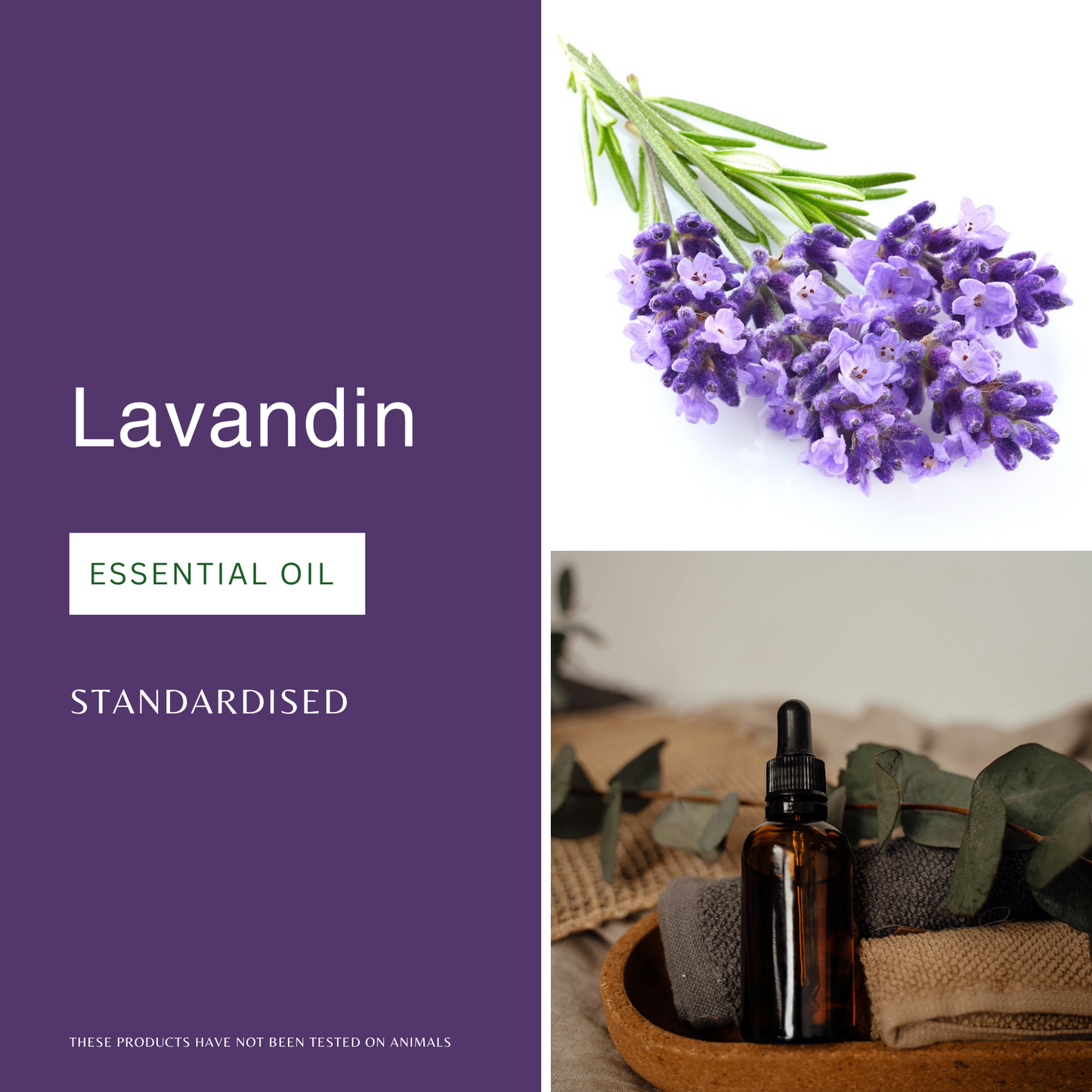 Lavandin Essential Oil