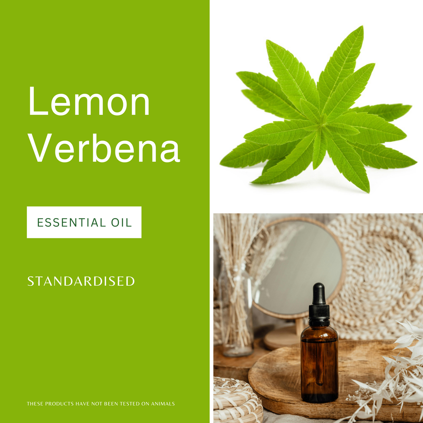 Lemon Verbena Essential Oil - Blend