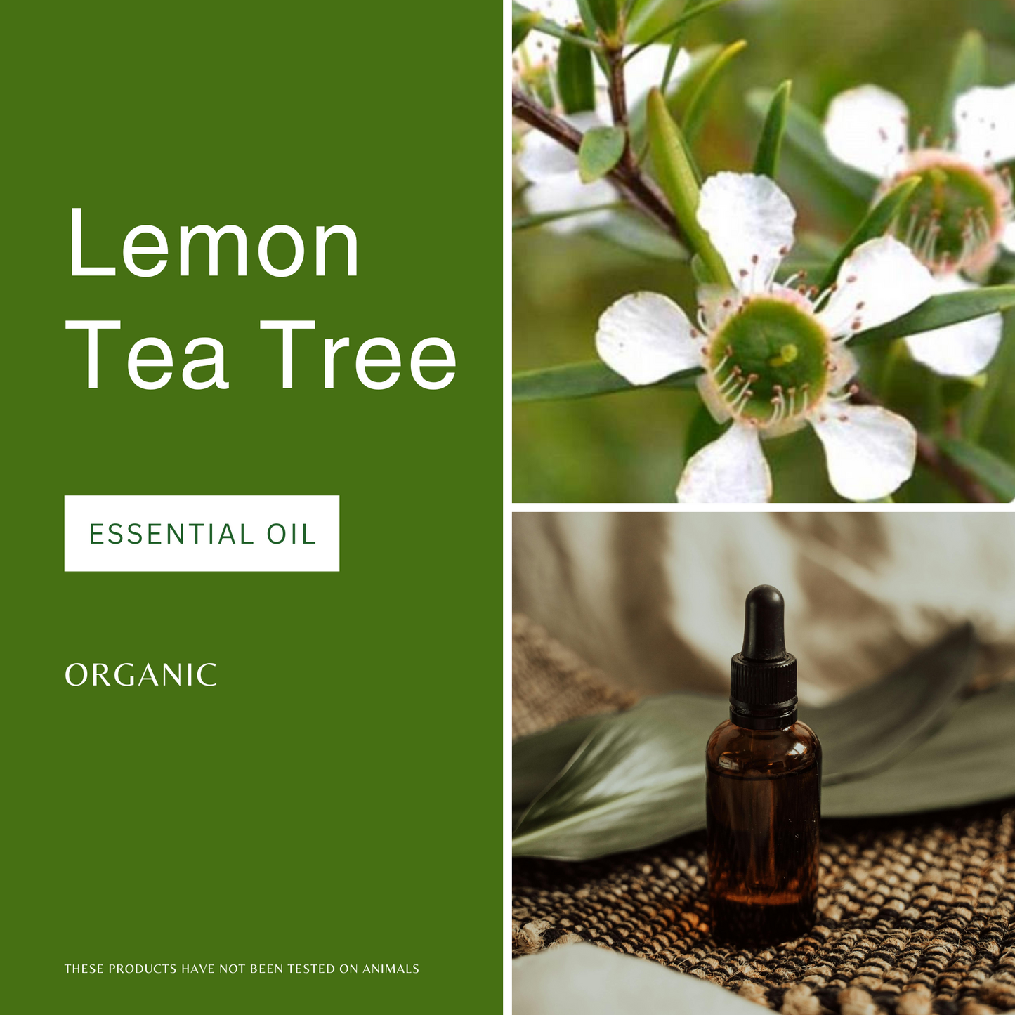 Lemon Tea Tree Essential Oil
