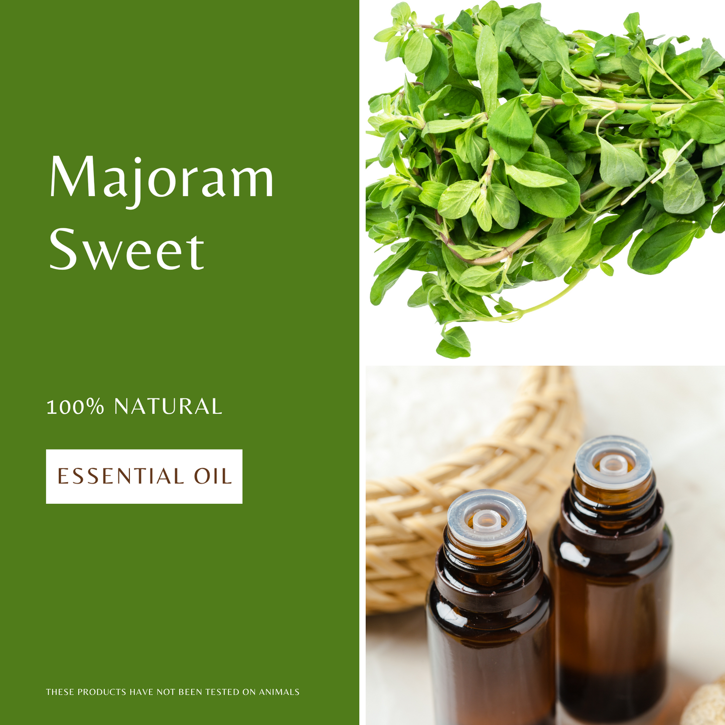 Majoram Essential Oil