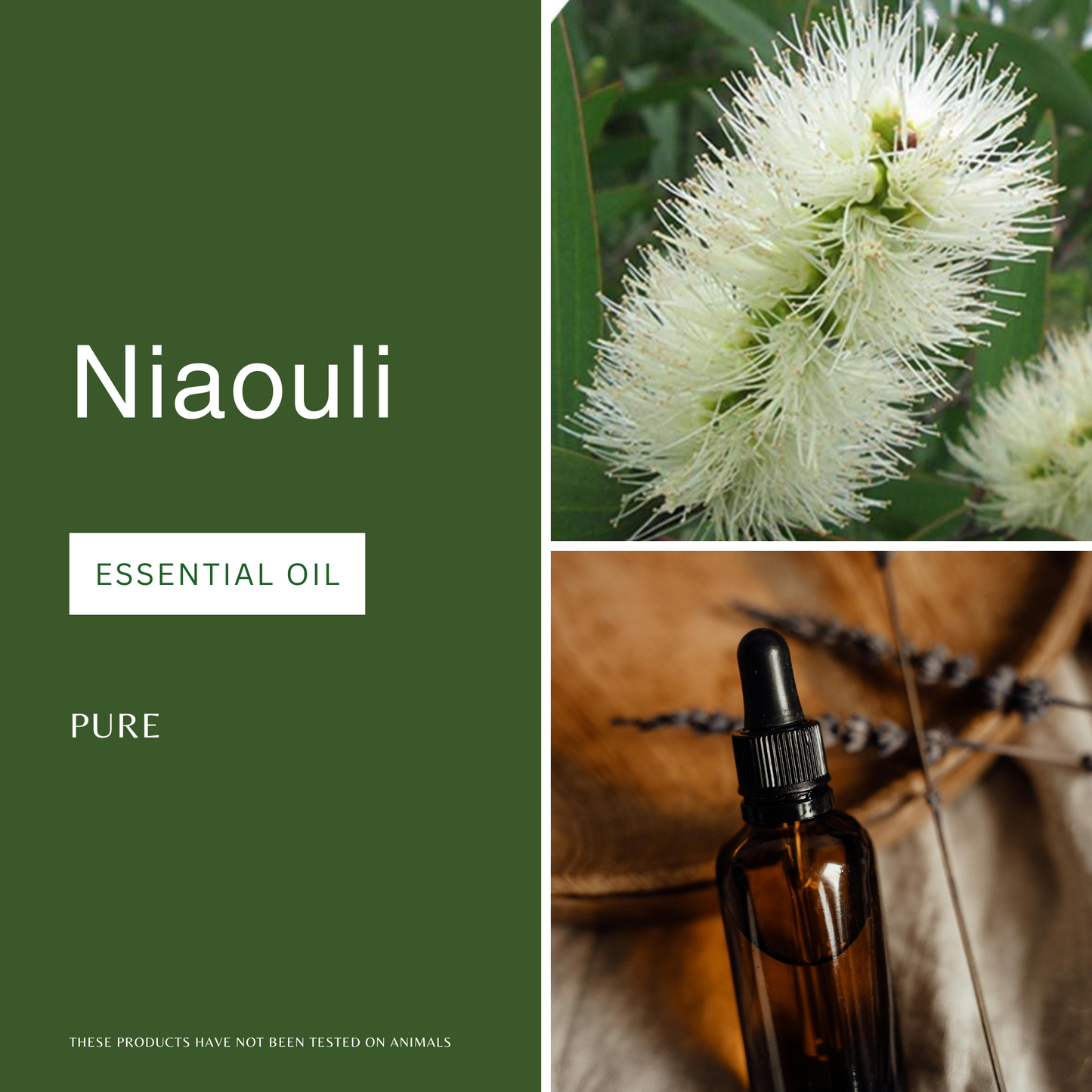 Niaouli Essential Oil