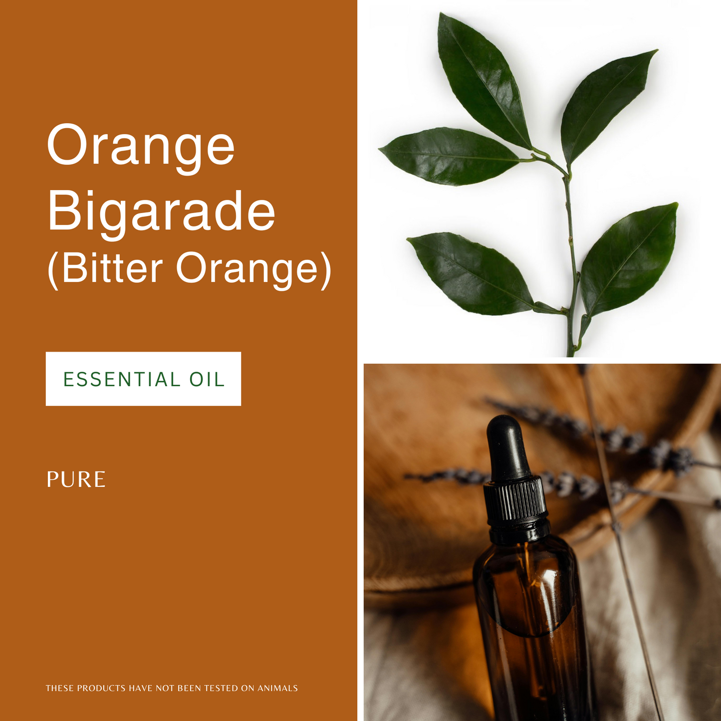 Orange Bigarade Essential Oil