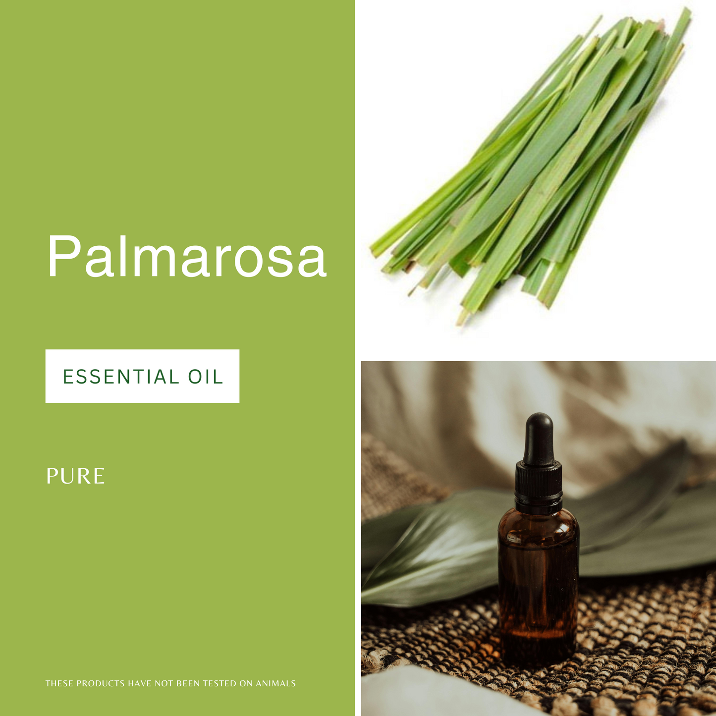 Palmarosa Essential Oil