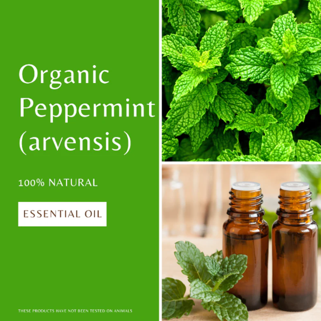 Peppermint Essential Oil (Arvensis)