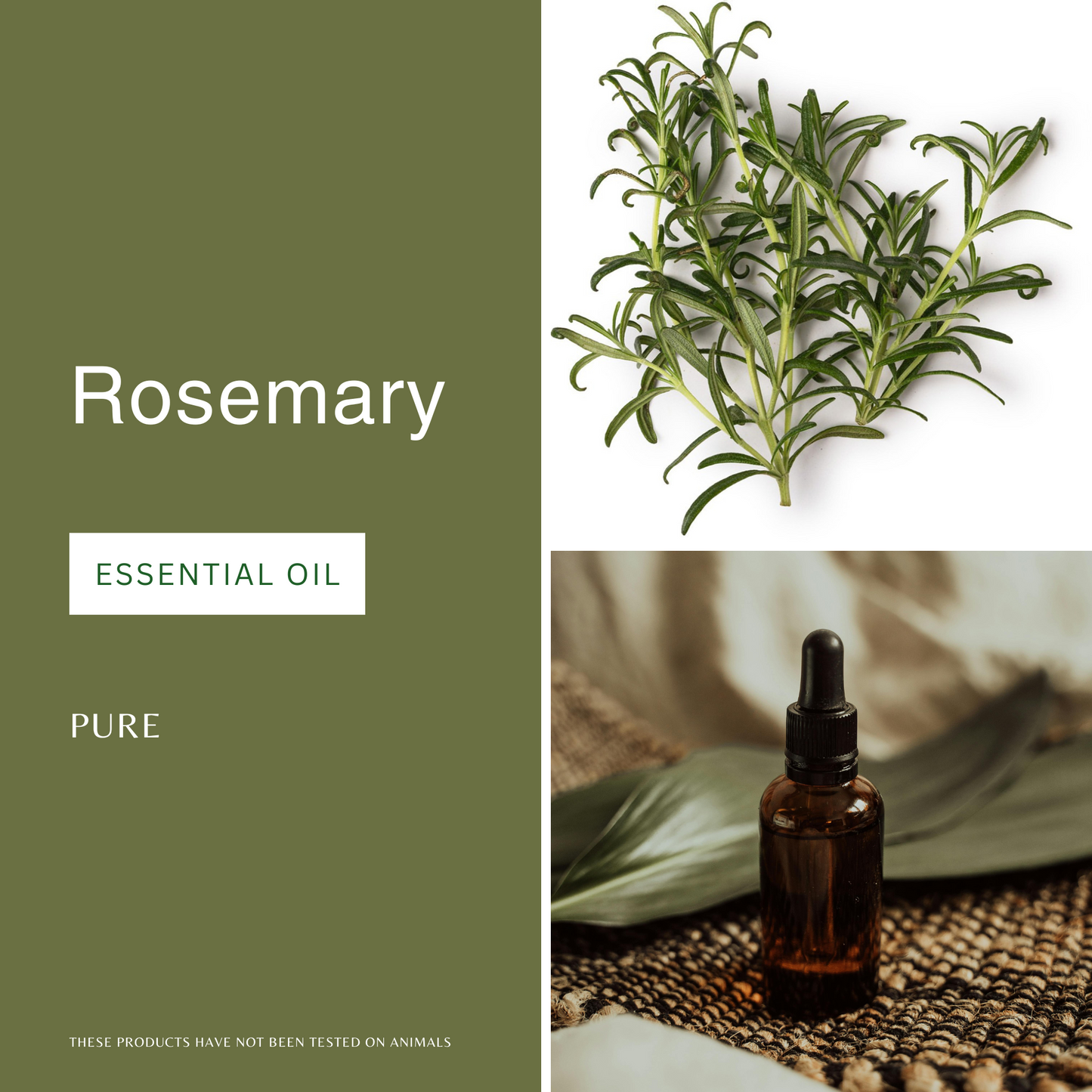 Rosemary Essential Oil