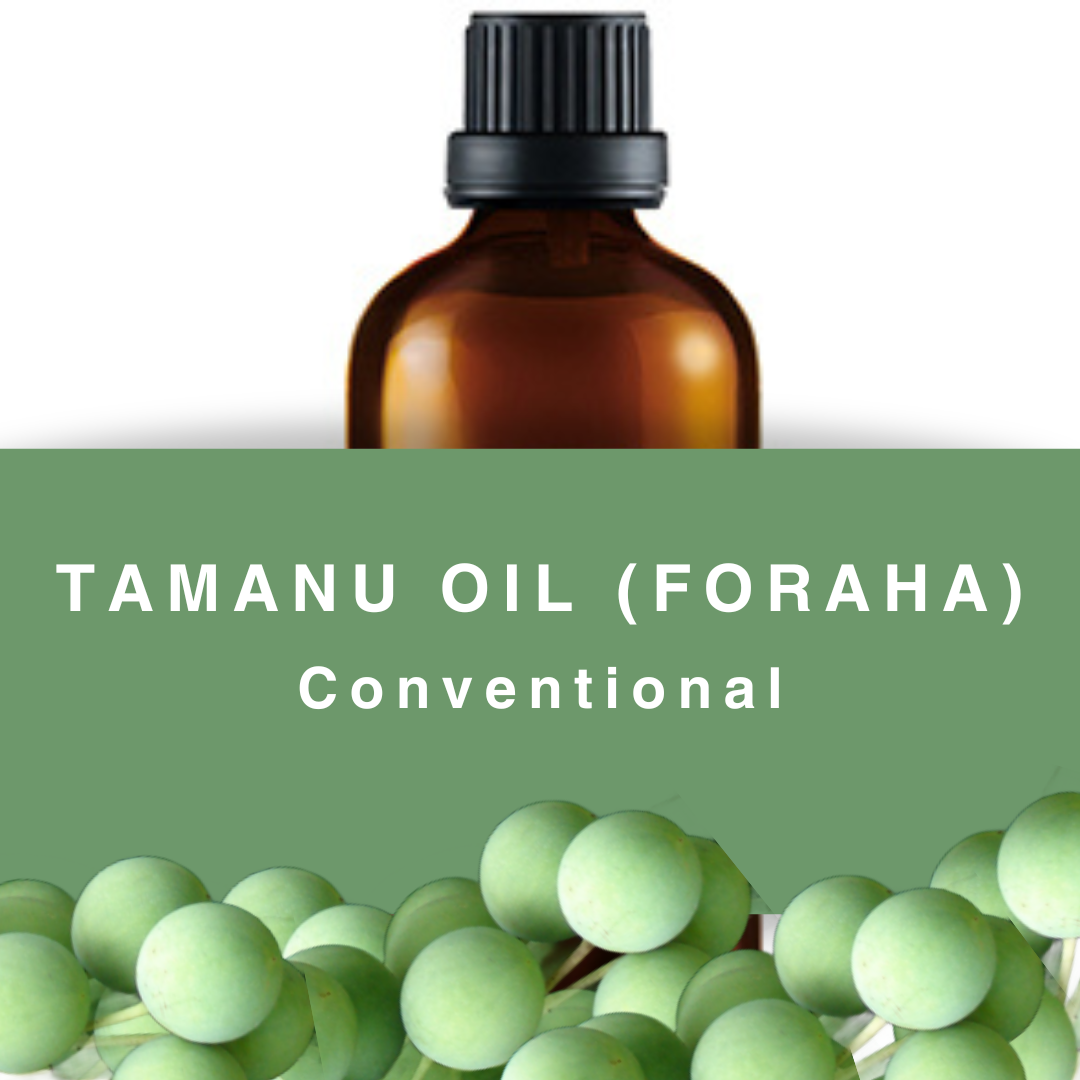 Tamanu Oil (Foraha) - Cold Pressed | Organic