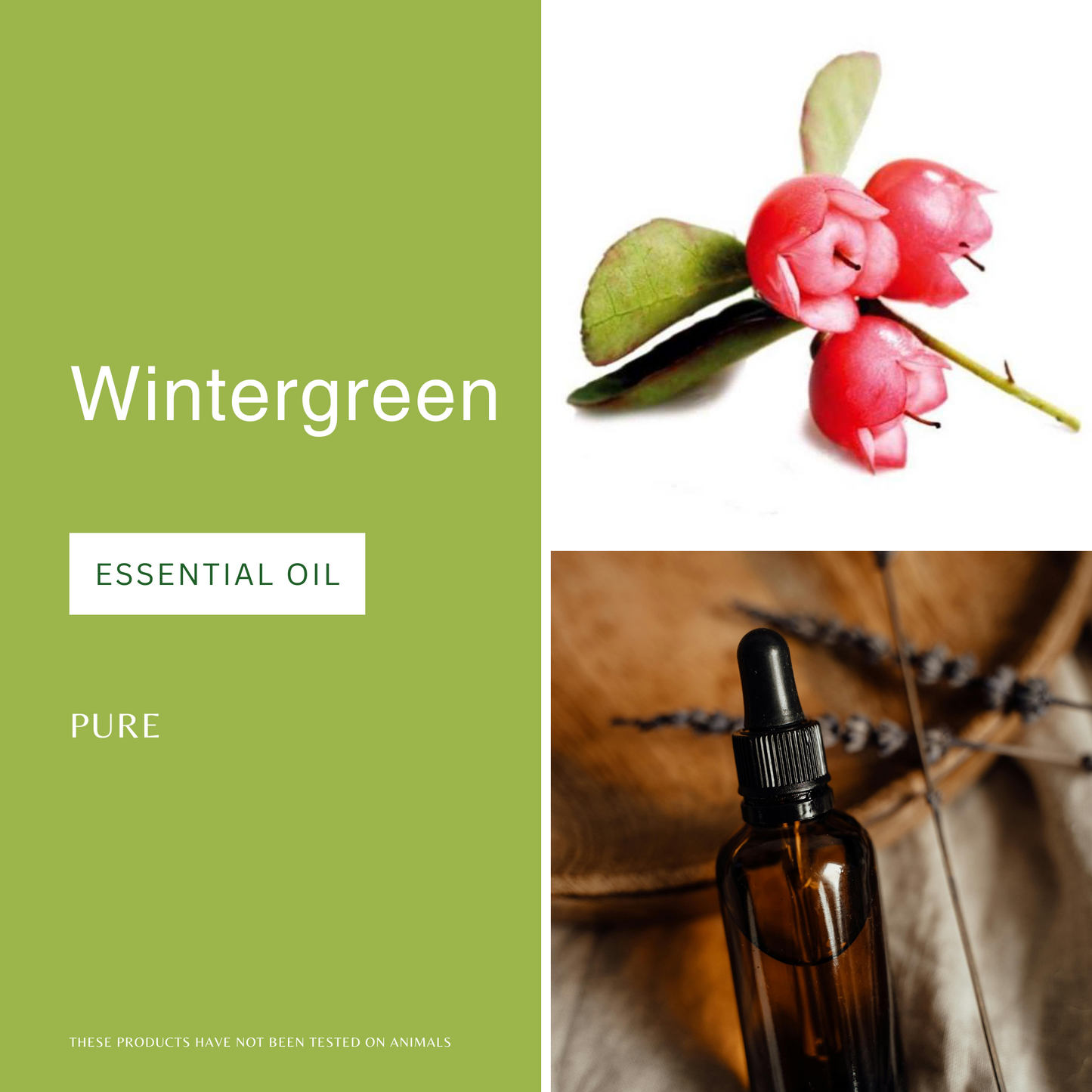 Wintergreen Essential Oil