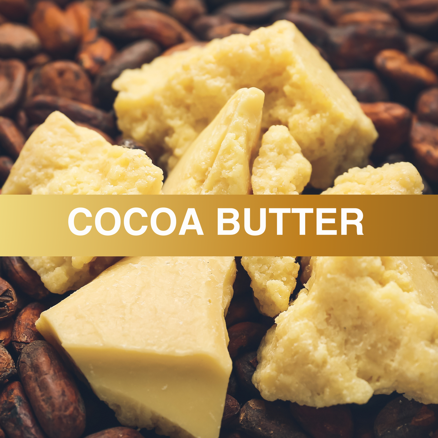 Cocoa Butter Fragrance Oil