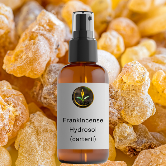 Frankincense (carterii) -  Hydrosol