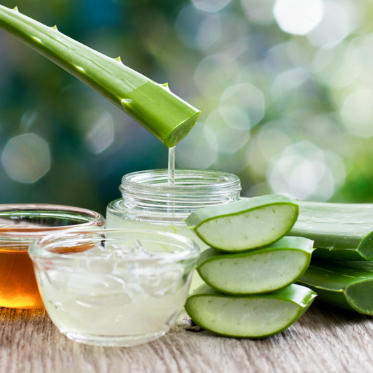 Botanical Aloe Vera Extract