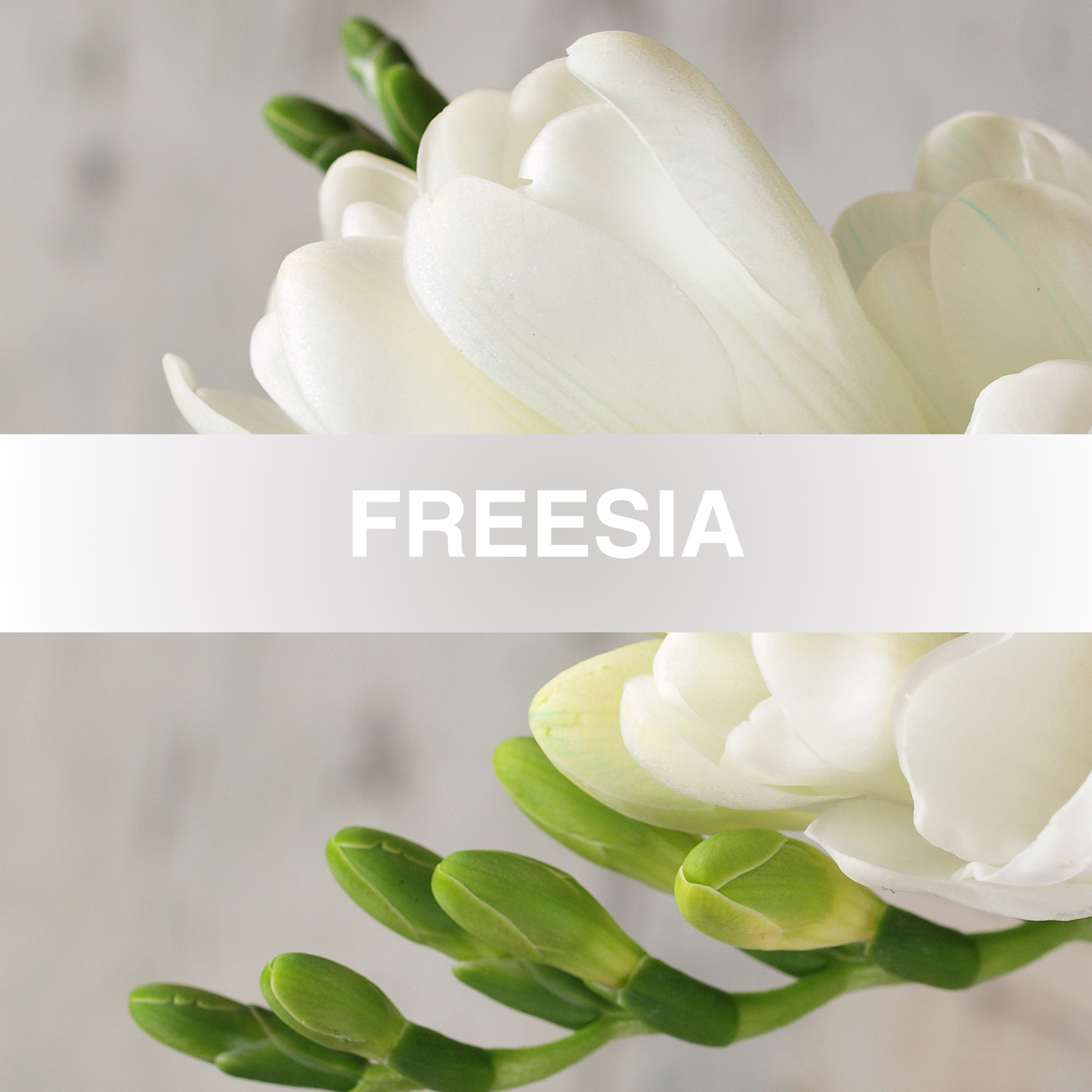 Freesia Fragrance Oil