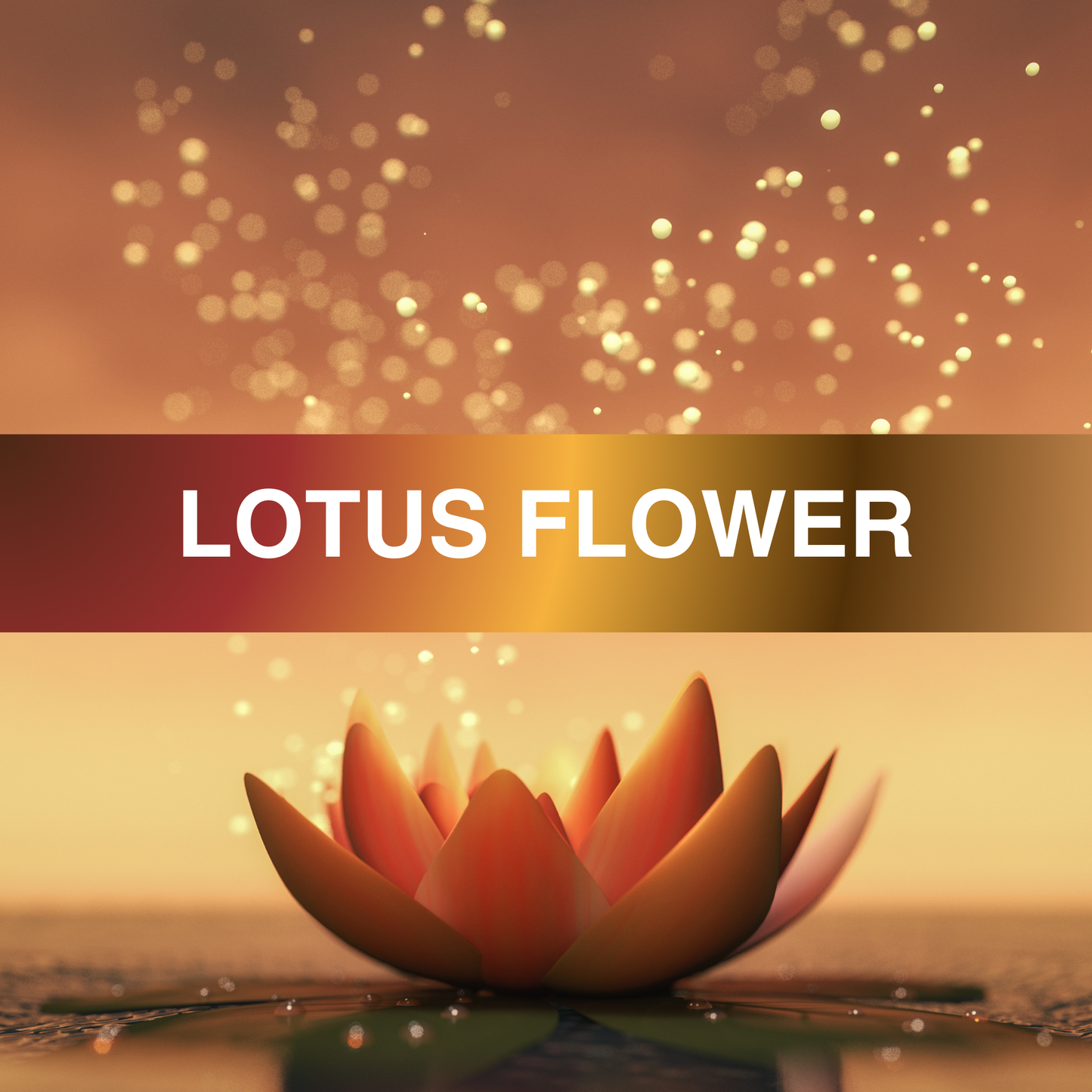 Lotus Flower Fragrance Oil