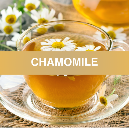 Chamomile Fragrance Oil