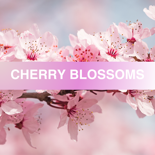 Cherry Blossom Fragrance Oil