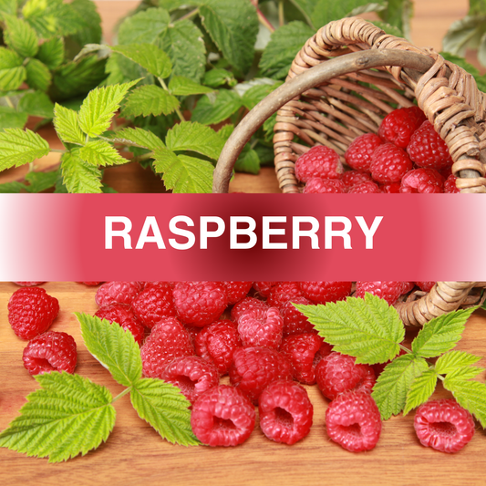 Raspberry Fragrance Oil