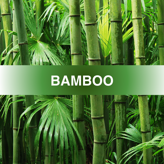 Bamboo Fragrance Oil
