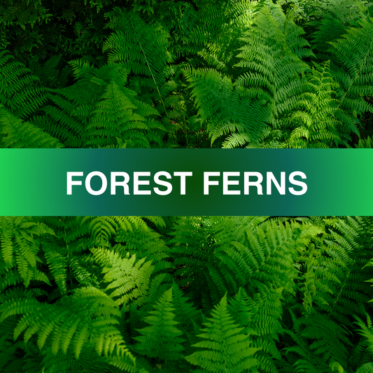 Forest Ferns Fragrance Oil