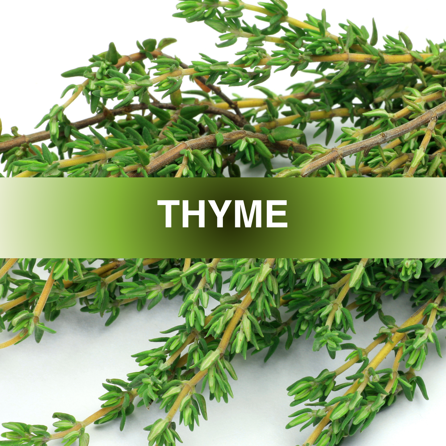 Thyme Fragrance Oil