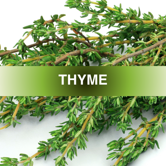 Thyme Fragrance Oil