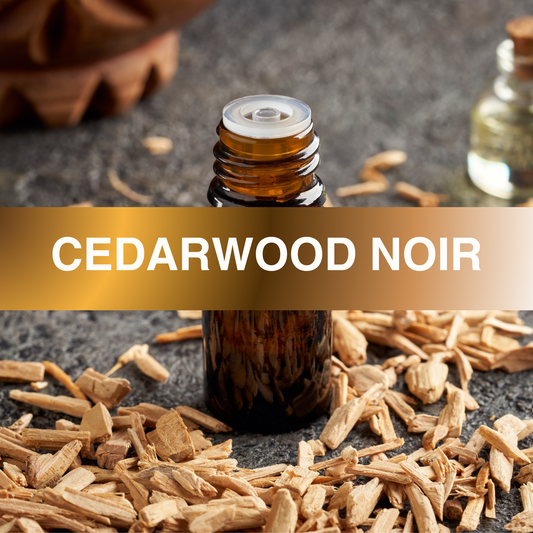 Cedarwood Noir Fragrance Oil