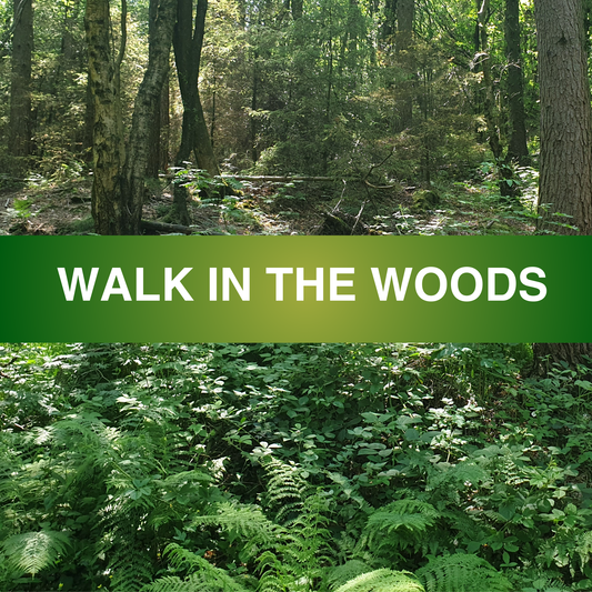 Walk in the Woods Fragrance Oil