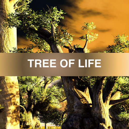 Tree of Life - Baobab Fragrance Oil
