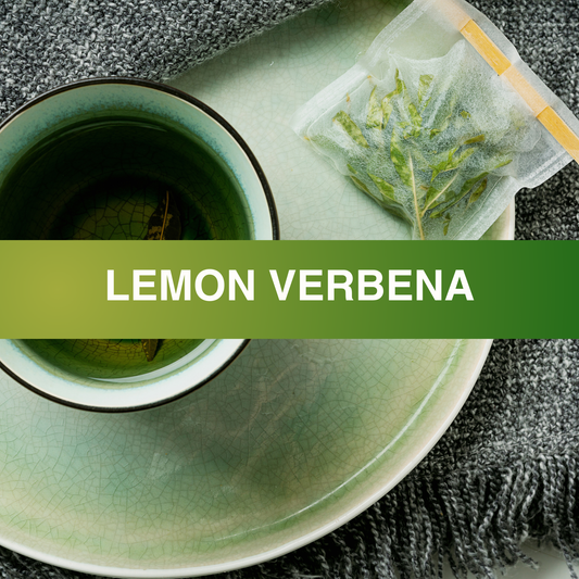 Lemon Verbena Fragrance Oil