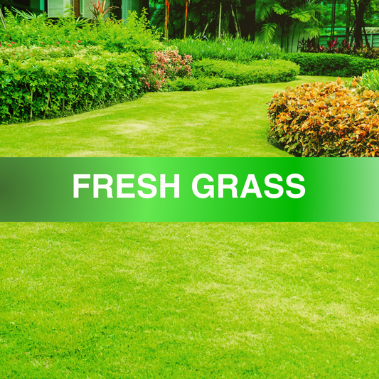 Fresh Grass Fragrance Oil