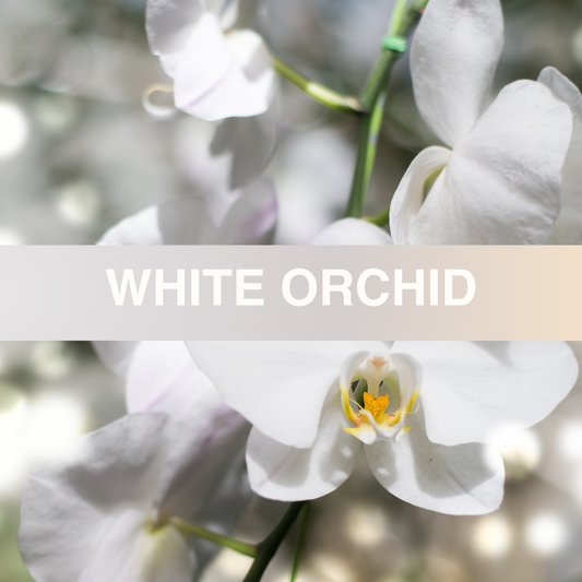 White Orchid Fragrance Oil