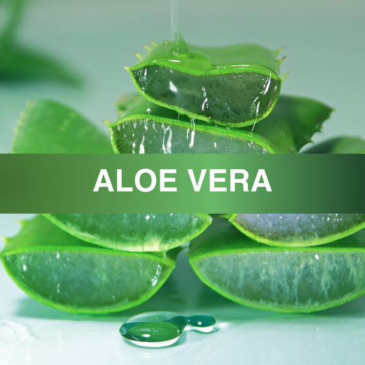 Aloe Vera Fragrance Oil