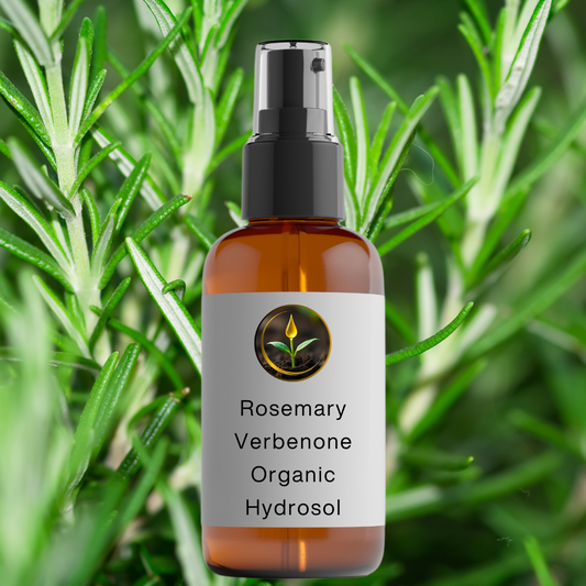 Rosemary Verbenone Organic Hydrosol