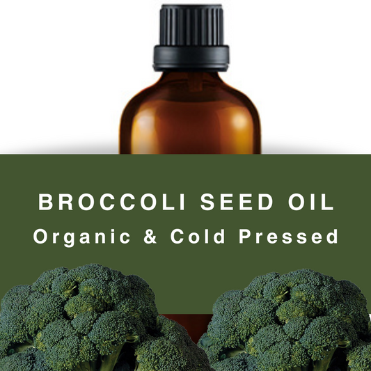 Broccoli Seed Oil - Cold Pressed|Organic