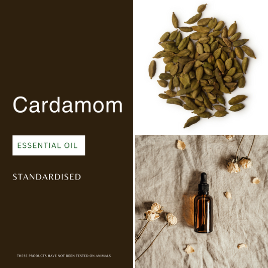 Cardamom Essential Oil
