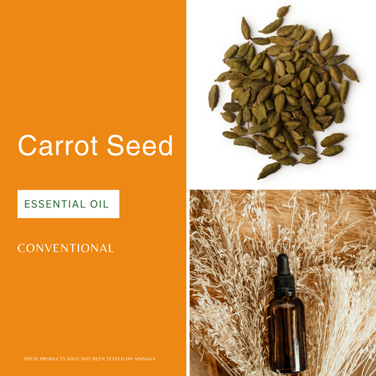 Carrot Seed Essential Oil
