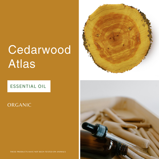 Cedarwood Atlas Essential Oil