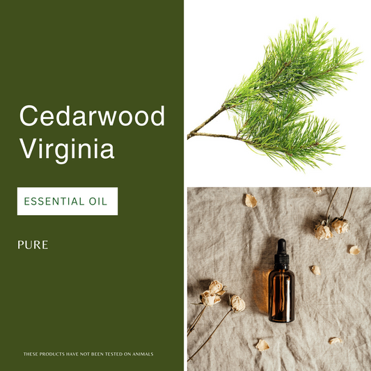 Cedarwood Essential Oil (Virginia)