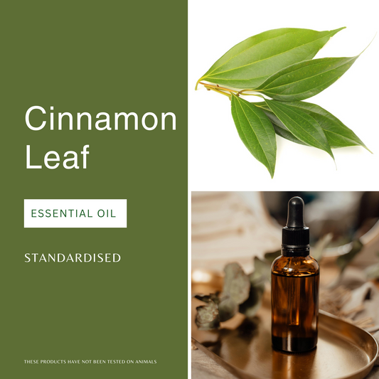 Cinnamon Leaf Essential Oil