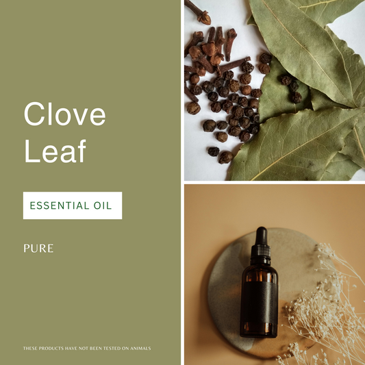 Clove Leaf Essential Oil