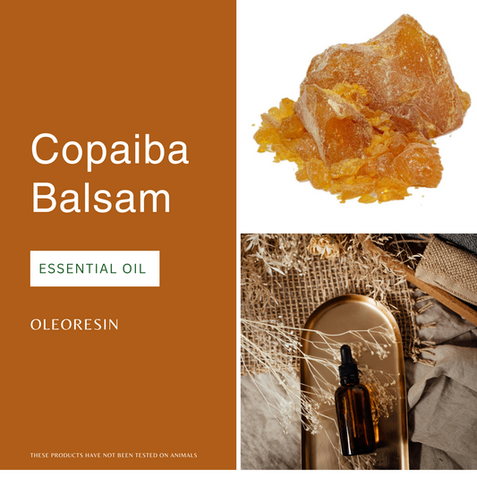 Copaiba Balsam Essential Oil (Oleoresin)